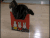 猫 动物 猫
