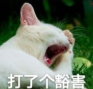 猫咪 喵星人 文字表情包 搞笑 四川话