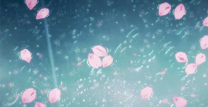 水  下雨 花瓣 雨滴