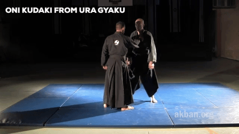 武术 martial arts 教学 忍术