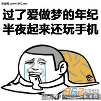 表情 哭泣 搞笑 过来爱做梦的年纪半夜起来还玩手机
