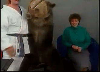 TM熊的力量 狂暴 卧槽 受伤