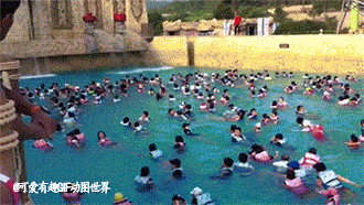 泳池 人造浪 人满为患 炎热