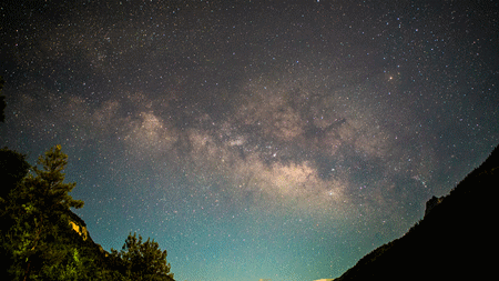 树林 延时拍摄 星空 繁星 银河 美丽的银河