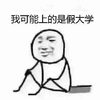 我可能上的是假大学