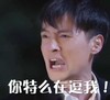 胡歌 帅哥 抓狂 你特么在逗我