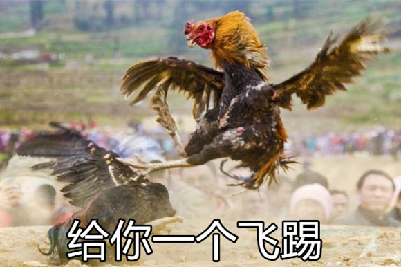给你一个飞踢gif动图_动态图_表情包下载_soogif