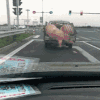 很嗨  搞怪  逗乐 猪  摔