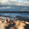 风景 海洋 海滩