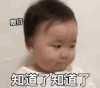 萌娃 黄夏温 知道了知道了 搞笑 逗 可爱