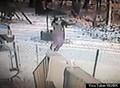 野外 雪地 行走 白雪