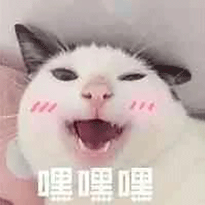 萌寵 貓星人 嘿嘿嘿 害羞 搞怪 呆萌