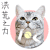 洪荒之力 猫咪 眼神 可爱