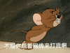 猫和老鼠 猫和老鼠表情包 汤姆 杰瑞 汤姆猫 杰瑞鼠