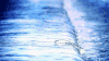 青海湖