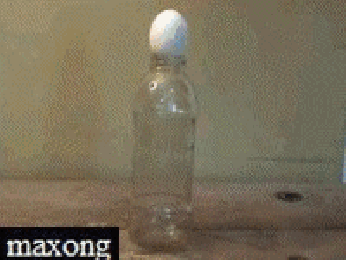 生活 实验 鸡蛋进瓶子里 神气