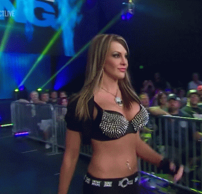 页 只有 辩论 女人 论坛 线 摔跤 论坛 WWE 联盟 TNA 印第 萨拉施雷伯