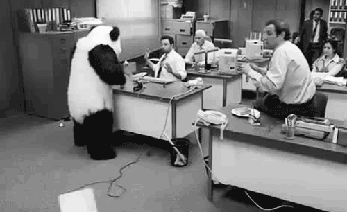 熊猫 办公室 清洁