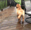 下雨 天气 阴雨 雨伞