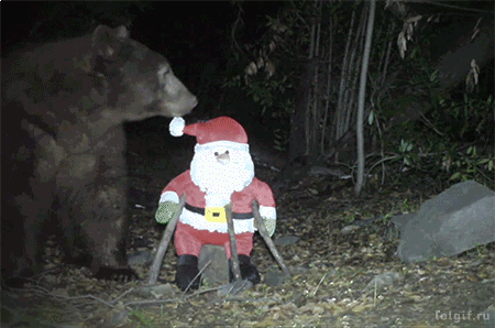 熊 bear 玩玩具 夜晚