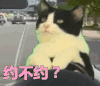 约不约 lol 打游戏