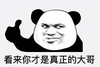 熊猫头 文字表情包 看来你才是真正的大哥 魔性 沙雕 搞怪