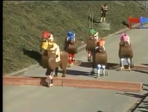 赛马 horse racing