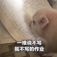 猪 一堆说不写 就不写的作业 看书 讯飞