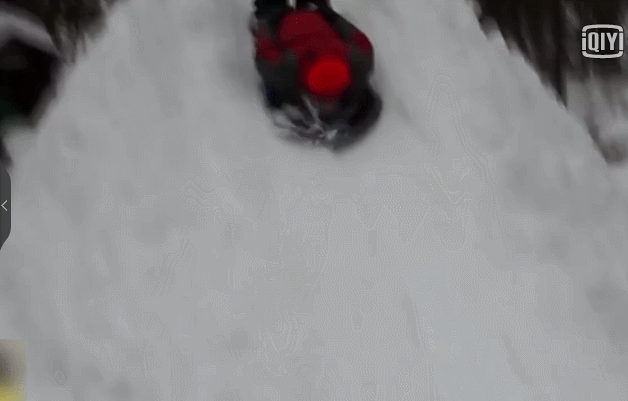 这就尴尬了 滑雪 红帽子 狗狗骑着人