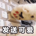 猫爪 卖萌 发送可爱