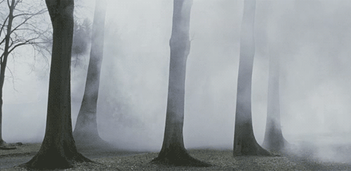 森林 大雾 迷茫 可怕