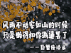 巨蟹座 星座 十二星座 风雨不动安如山的时候 只是懒得和你撕逼罢了 巨蟹座语录 soogif soogif出品