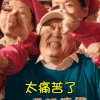 缝纫机乐队 于谦 孙大力 太痛苦了 伤心 soogif soogif出品
