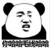 暴漫 文字表情包 你哈哈毛线哈哈 搞笑 沙雕 魔性