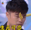 快乐大本营 soogif soogif出品 生无可恋 陈赫