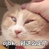 萌宠 猫咪 猫 我觉得ok ok 赞 ojbk