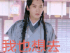 双世宠妃 邢昭林 我也想去