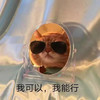 萌宠 喵星人 我可以 我能行 呆萌 可爱