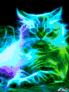 猫咪 梦幻 可爱 发呆