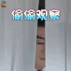 温暖的弦 张翰 占南弦 偷偷观察 搞怪 soogif soogif出品