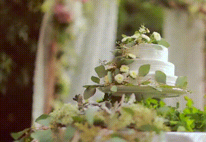 新娘 新郎 新婚祝福 结婚 幸福