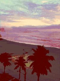 海滩 闪图 渐变 风景 海岸 棕榈树 日光 beach nature