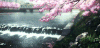 风景 流水 树枝 心动