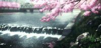 风景 流水 树枝 心动