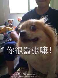 斜眼 嚣张 挑衅 你很嚣张