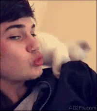 猫咪 偷亲 帅哥 搞笑 开心