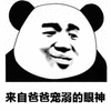 暴漫 熊哥毛绒 爸爸 儿子 宠溺 斗图