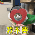 我不要 拒绝 猫 萌宠 soogif soogif出品