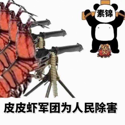 熊猫头 武器 皮皮虾军团 为人民除害