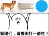 斗图 群聊 金馆长 管理们